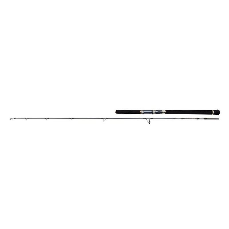 Penn Battalion Solid Jigging Spinn 6' 300gr