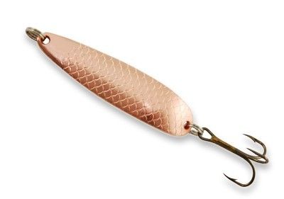 Buch Salmon