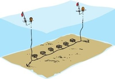 Krepselenke med iltau for 6 Teiner