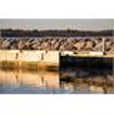  Multidock fender hvit, bryggefender