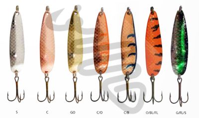 Buch Salmon