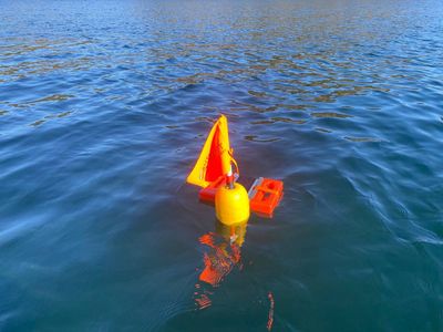 Flaggbøye/Flaggmann